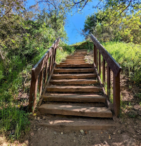Journey to faith